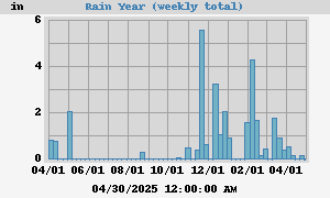 rain-year